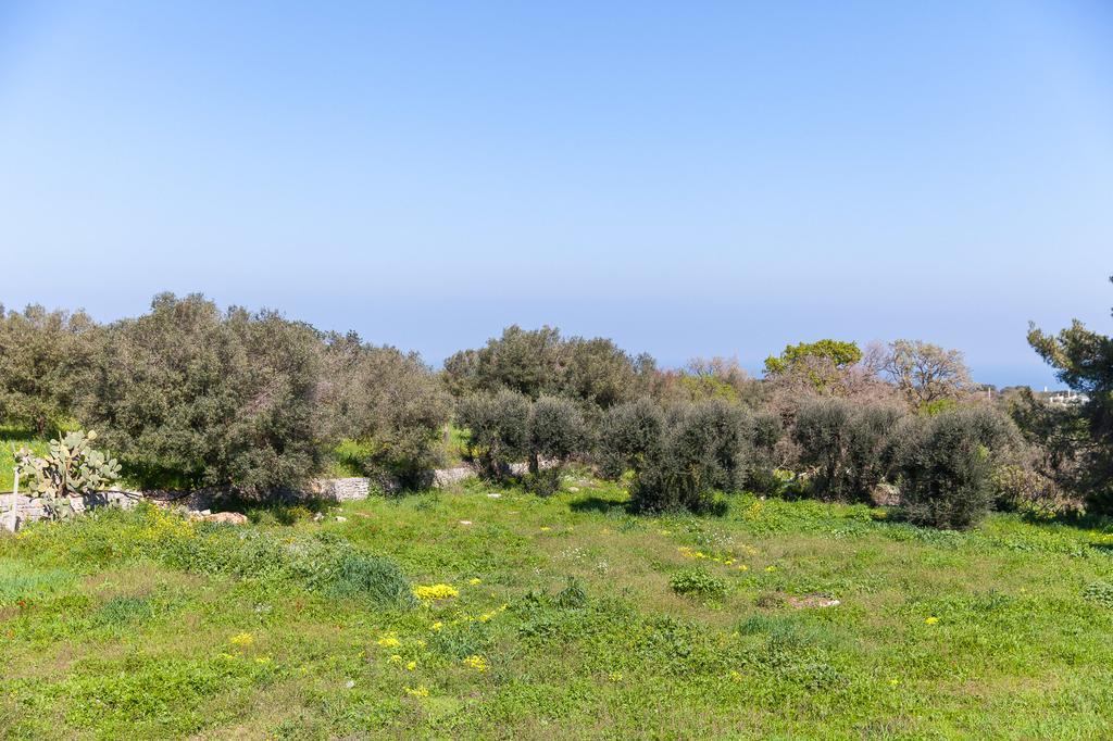 Villa Carenza Monopoli Exterior photo